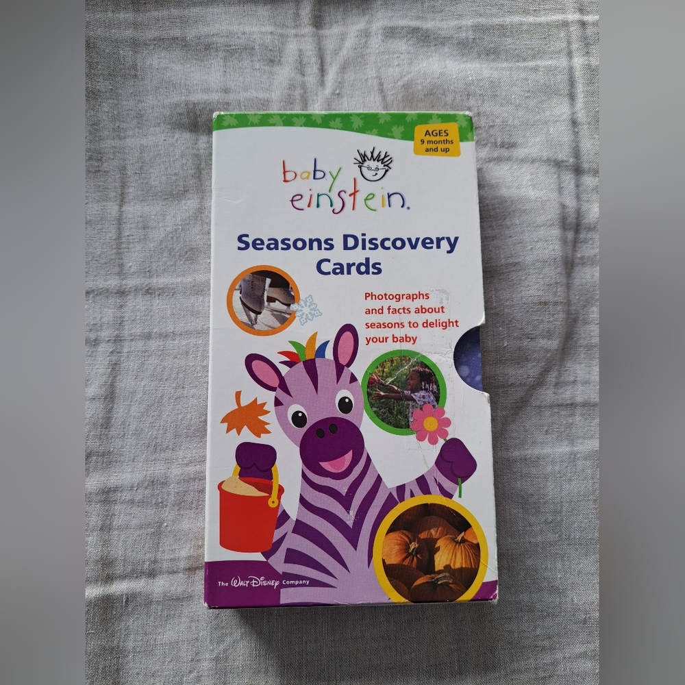 Vintage 2005 Baby Einstein Seasons Discovery Cards